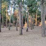 Photo n°1 de l'avis de Carlo.i fait le 26/07/2022 à 07:25 sur le  Agricasale Agriturismo à Piazza Armerina