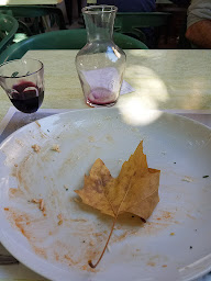 Photo n°16 de Restaurant Bar Tabac d'Alain Sanchez à Goult ()