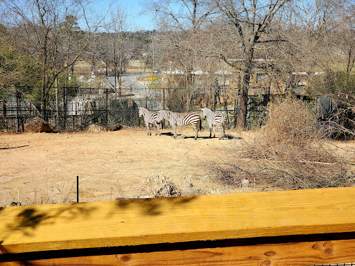 Zoo «Little Rock Zoo», reviews and photos, 1 Zoo Dr, Little Rock, AR 72205, USA