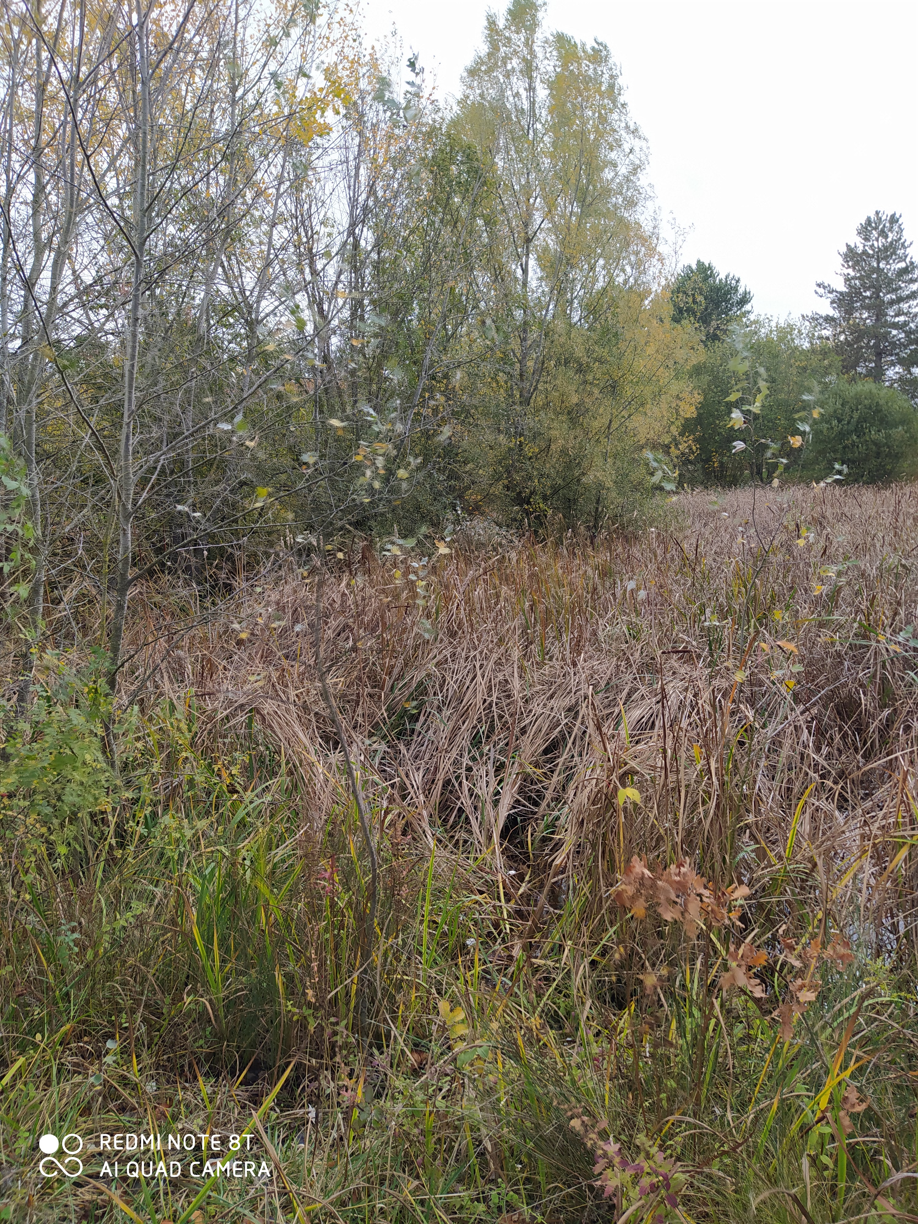 Photo n° 6 de l'avis de Aurélie.a fait le 31/10/2020 à 15:54