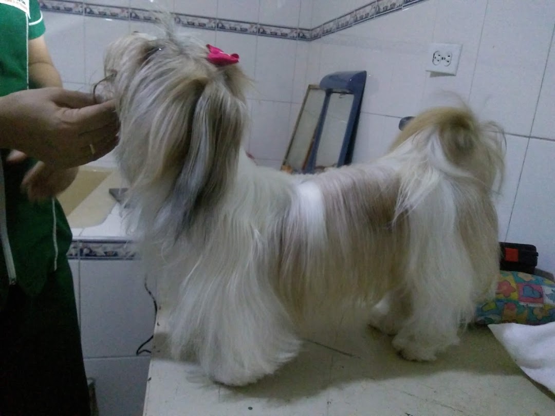 Centro Veterinario Servican