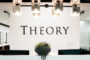 Theory Studio for Hair image