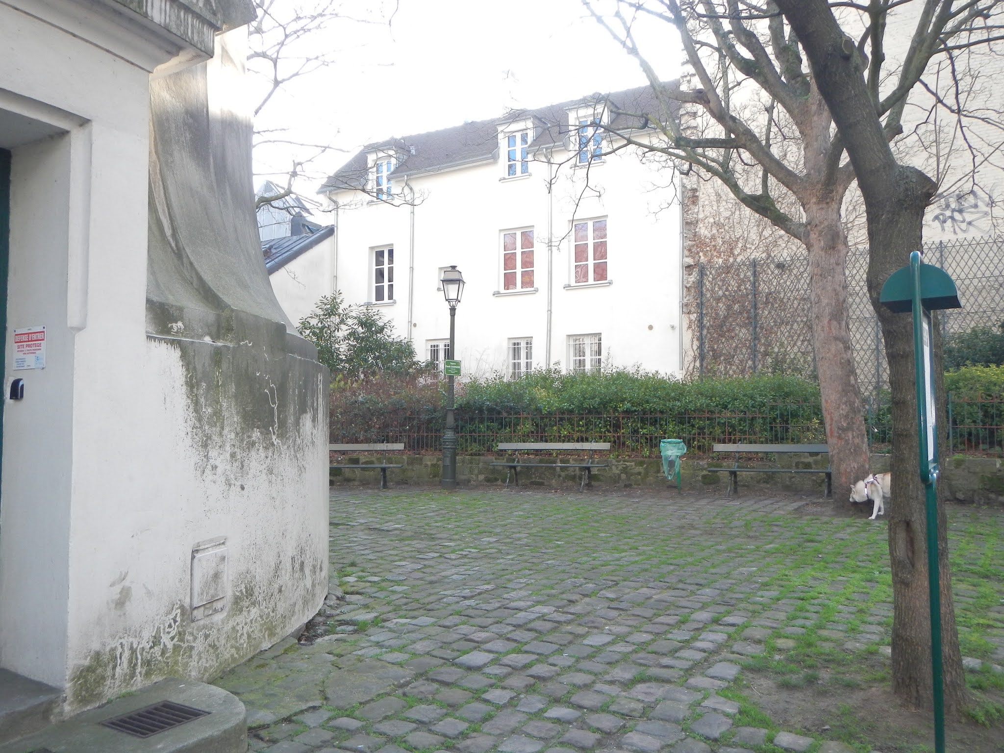 Photo n° 1 de l'avis de ThN. fait le 21/01/2020 à 21:01