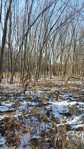 Night Club «The Smokestack», reviews and photos, 62 E 7th St, Dubuque, IA 52001, USA