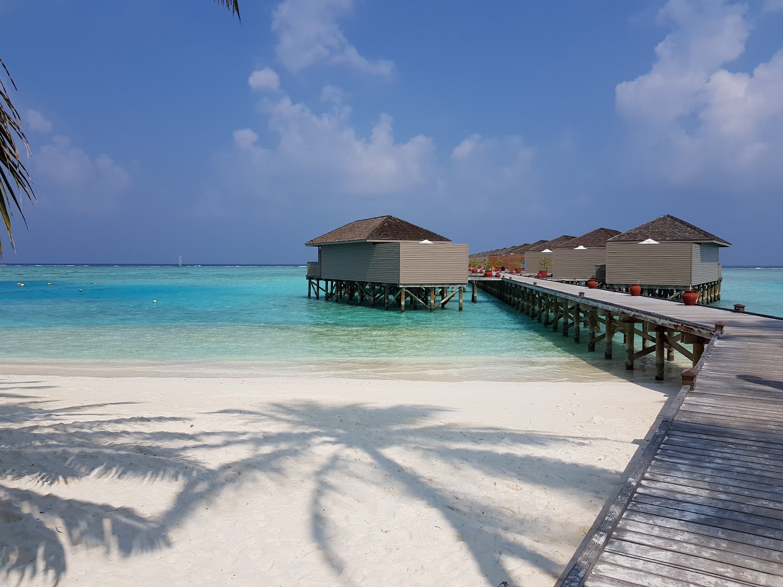 Foto von Meeru Island Resort mit langer gerader strand