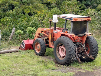 Hōlualoa Kona Coffee Co