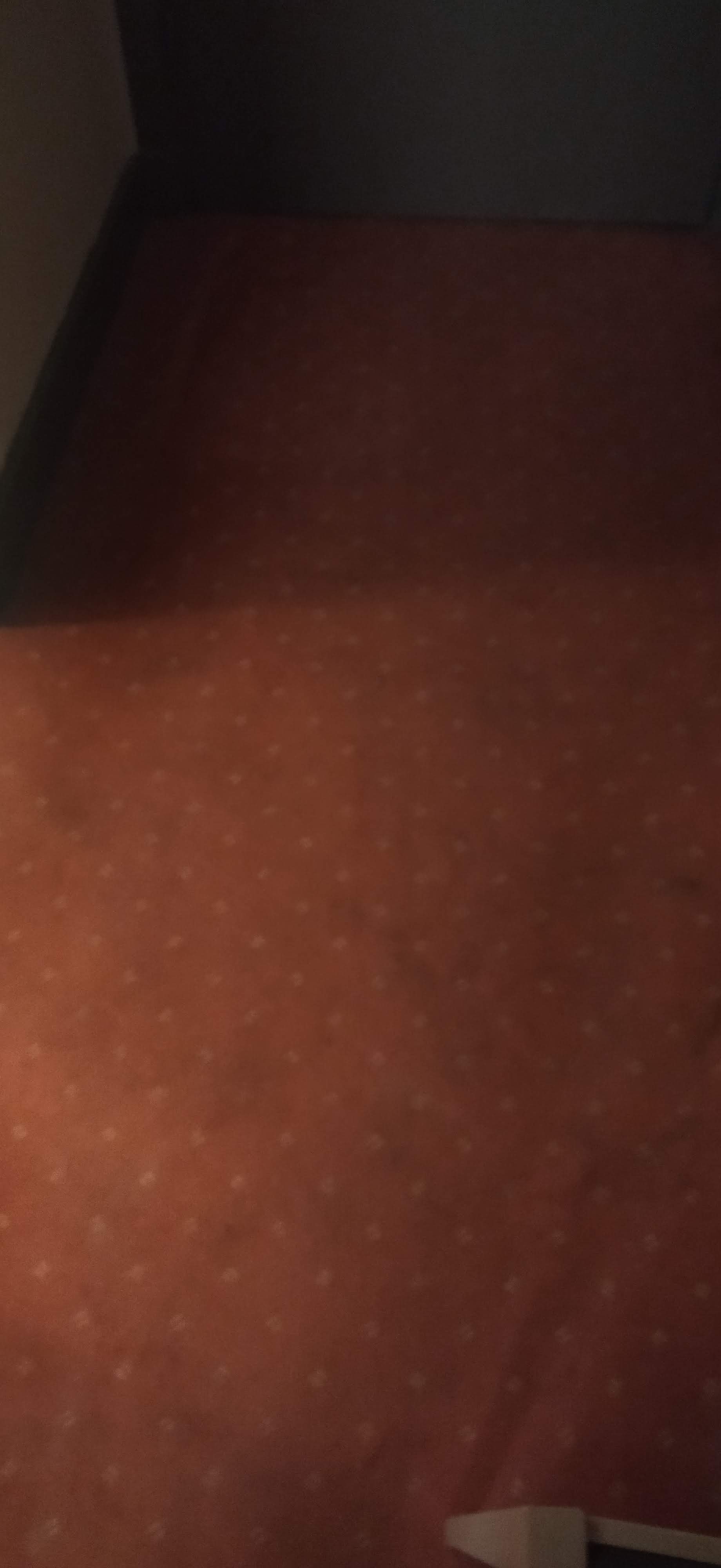 Photo n° 3 de l'avis de Titi. fait le 24/10/2022 à 19:46