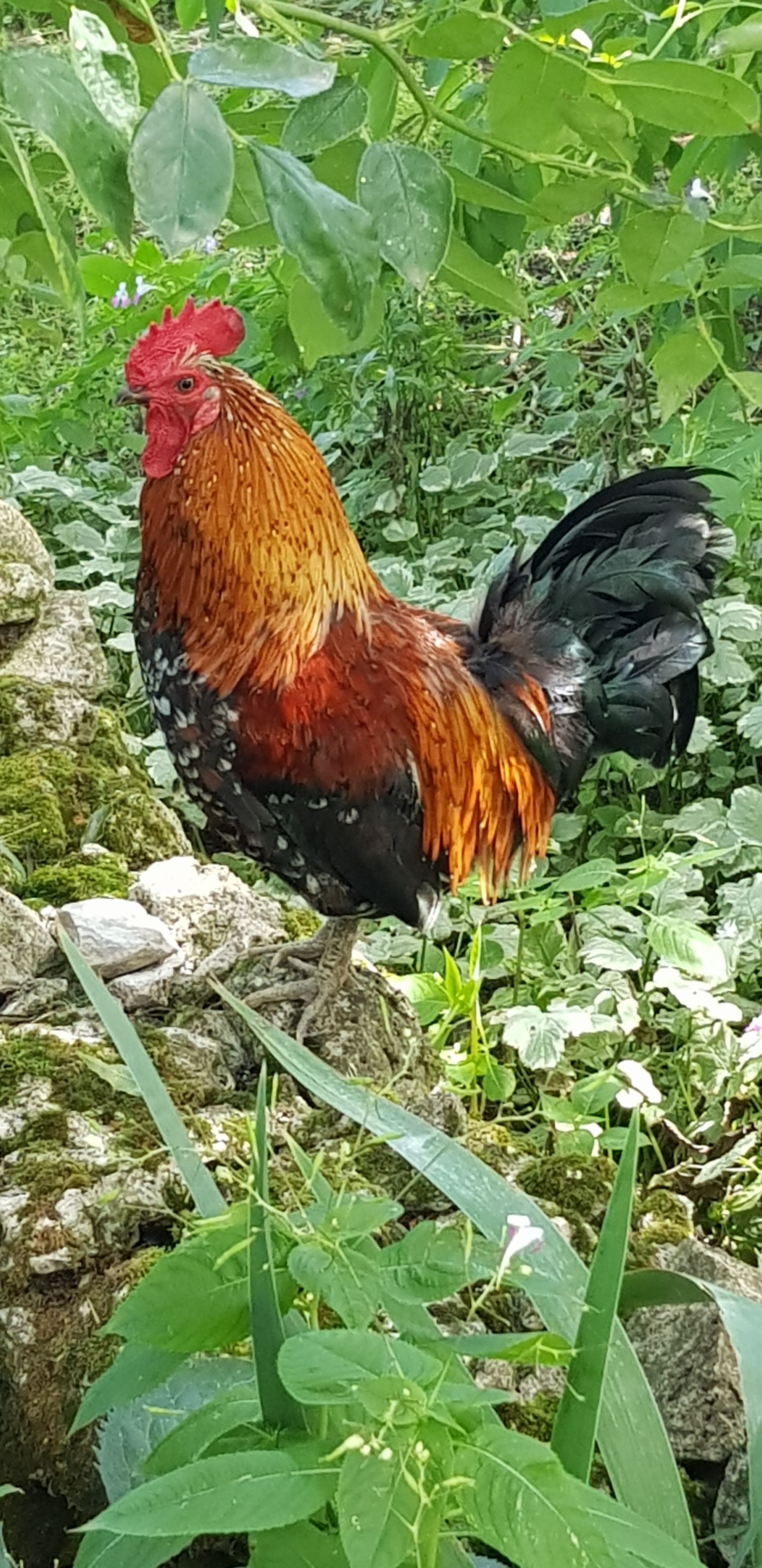 Photo n° 2 de l'avis de Isabelle.o fait le 02/03/2022 à 15:31