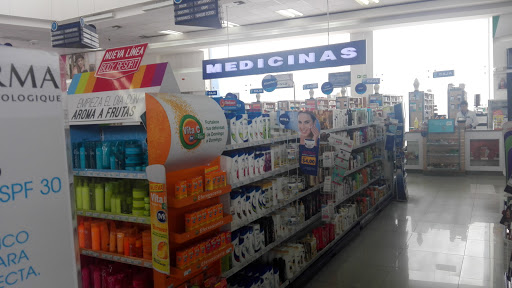 Farmacias en Quito