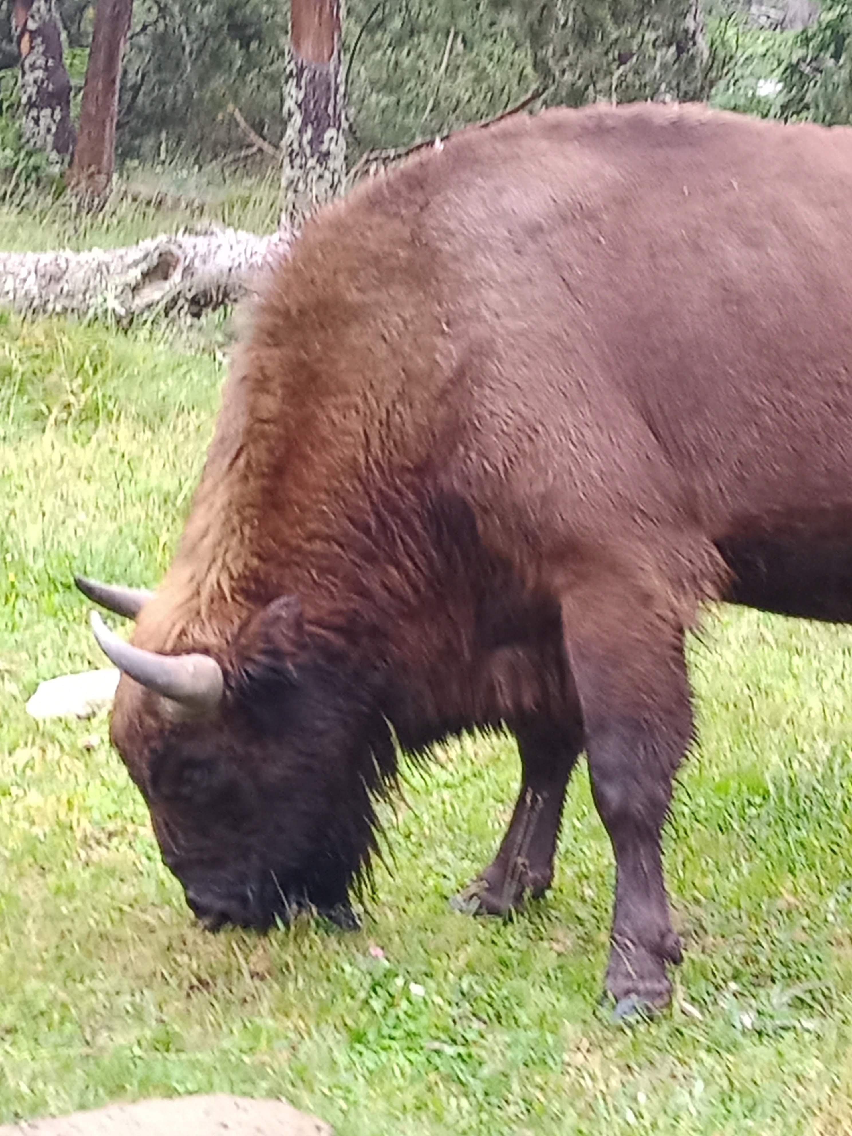 Photo n° 9 de l'avis de Marj.a fait le 18/07/2021 à 21:04