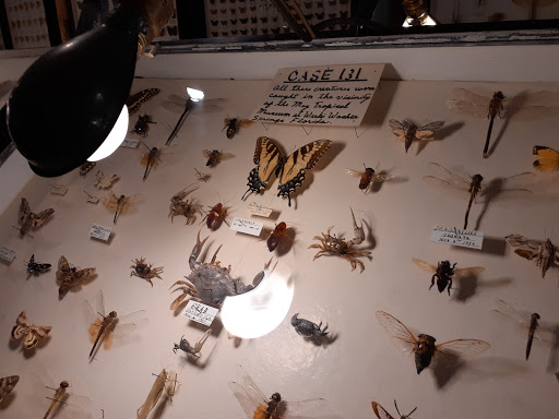 Museum «May Natural History Museum», reviews and photos, 710 Rock Creek Canyon Rd, Colorado Springs, CO 80926, USA