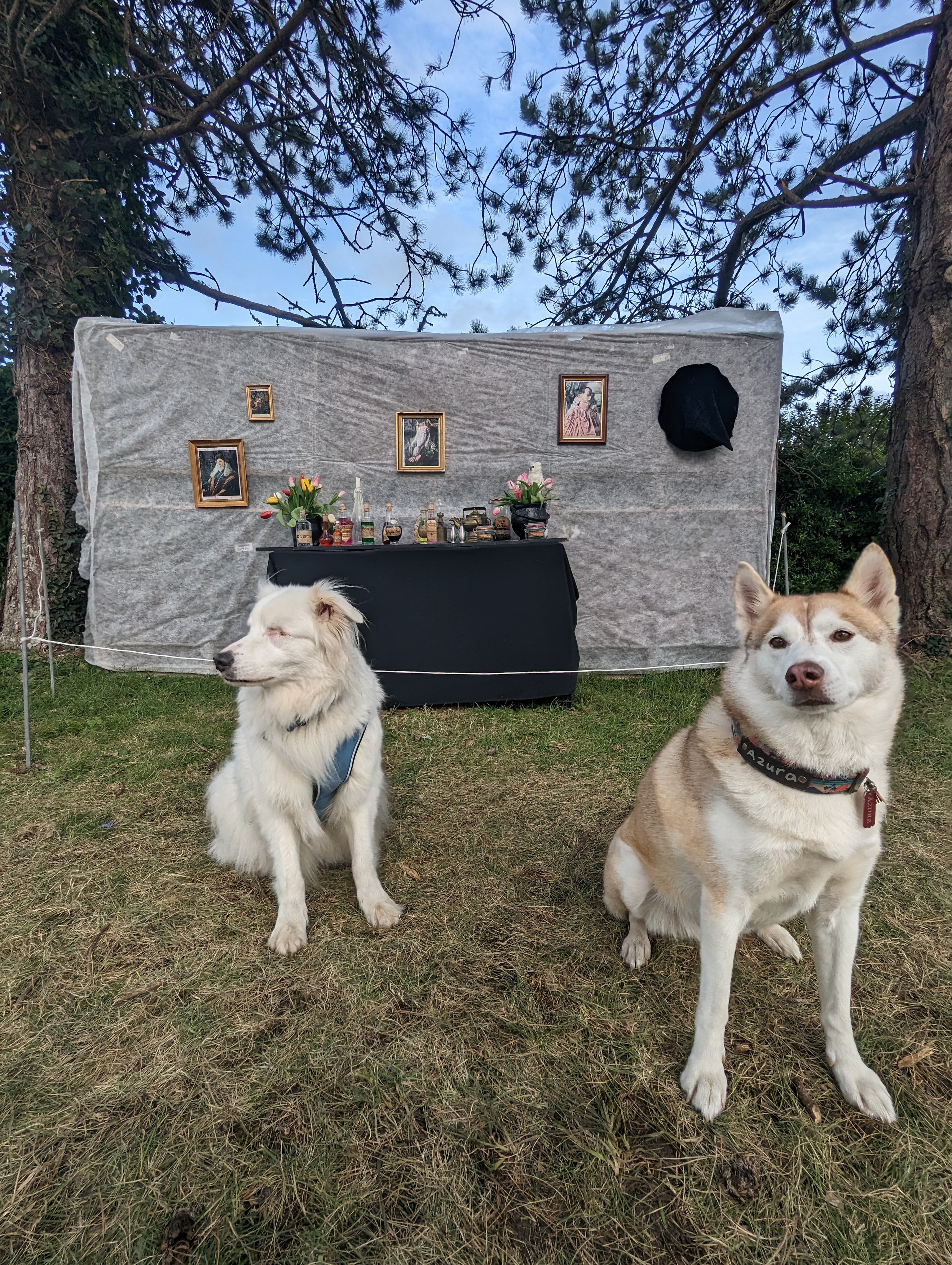 Photo n° 9 de l'avis de Jersey.h fait le 02/04/2023 à 21:00