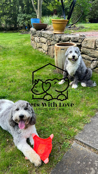 Pets with Love - Photo 2 - Car repair in , Bridgeport