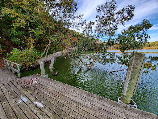 Park «Killens Pond State Park», reviews and photos, 5025 Killens Pond Rd, Felton, DE 19943, USA