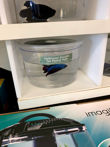 Pet Supply Store «Petco Animal Supplies», reviews and photos, 7901 Lansdowne Ave #1009a, Upper Darby, PA 19082, USA