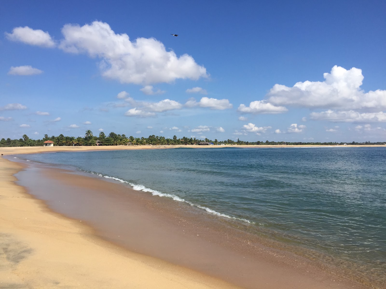 Foto de Whiskey Beach com areia bege superfície