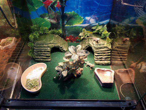 Pet Store «Pet Land», reviews and photos, 1450 Fort Campbell Blvd, Clarksville, TN 37042, USA