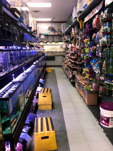 Pet Supply Store «Petland Discounts - Jamaica», reviews and photos, 17133 Hillside Avenue, Jamaica, NY 11432, USA