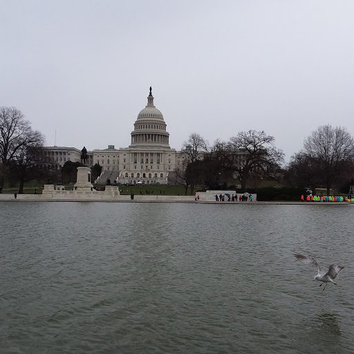National Park «Kenilworth Park», reviews and photos, 1505 Ancostia Ave NE, Washington, DC 20019, USA