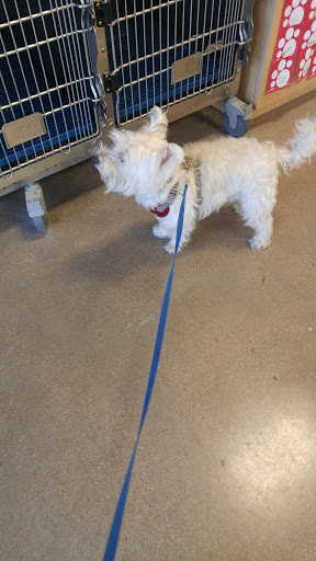 Pet Supply Store «Petsense Fort Worth», reviews and photos, 1408 Eastchase Pkwy #100, Fort Worth, TX 76120, USA