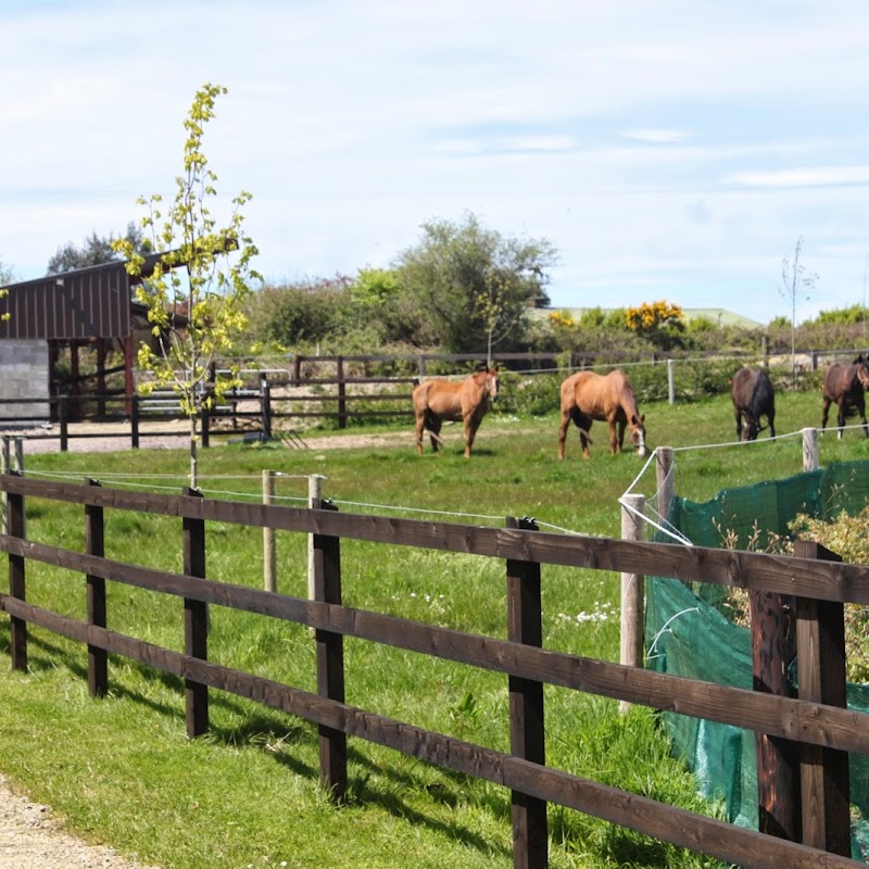 Serahane Stables