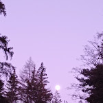 Photo n° 7 de l'avis de olivier.r fait le 28/12/2023 à 14:02 pour Domaine skiable de La Norma à Villarodin-Bourget