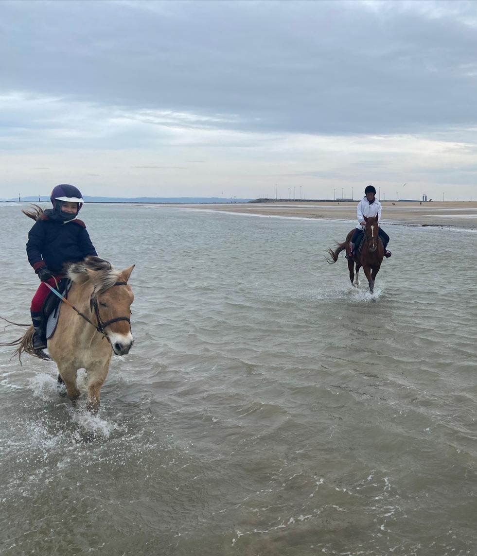 Photo n° 1 de l'avis de Stéphanie.a fait le 13/02/2022 à 15:44