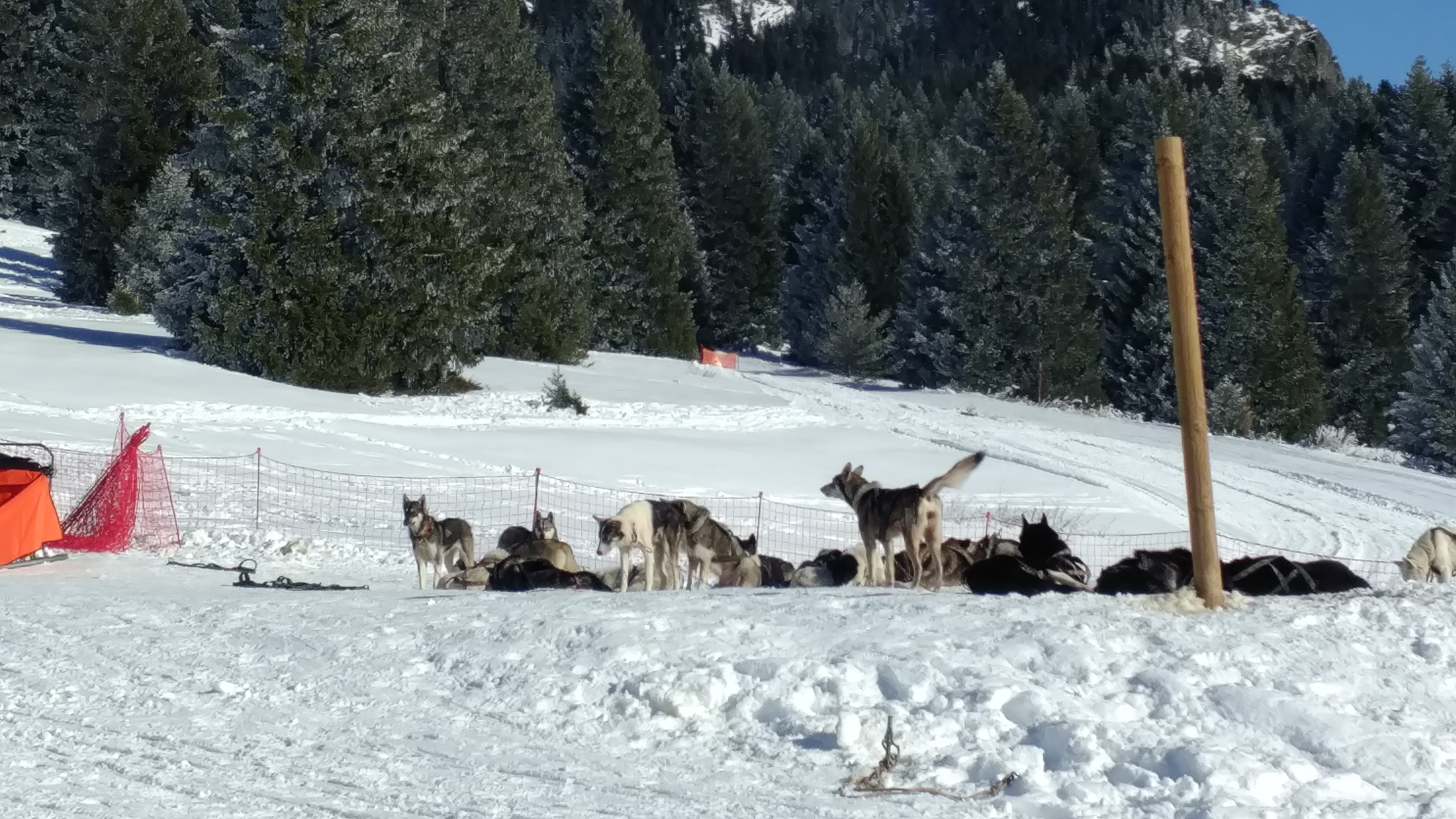 Photo n° 3 de l'avis de Kirill.a fait le 29/01/2023 à 17:28