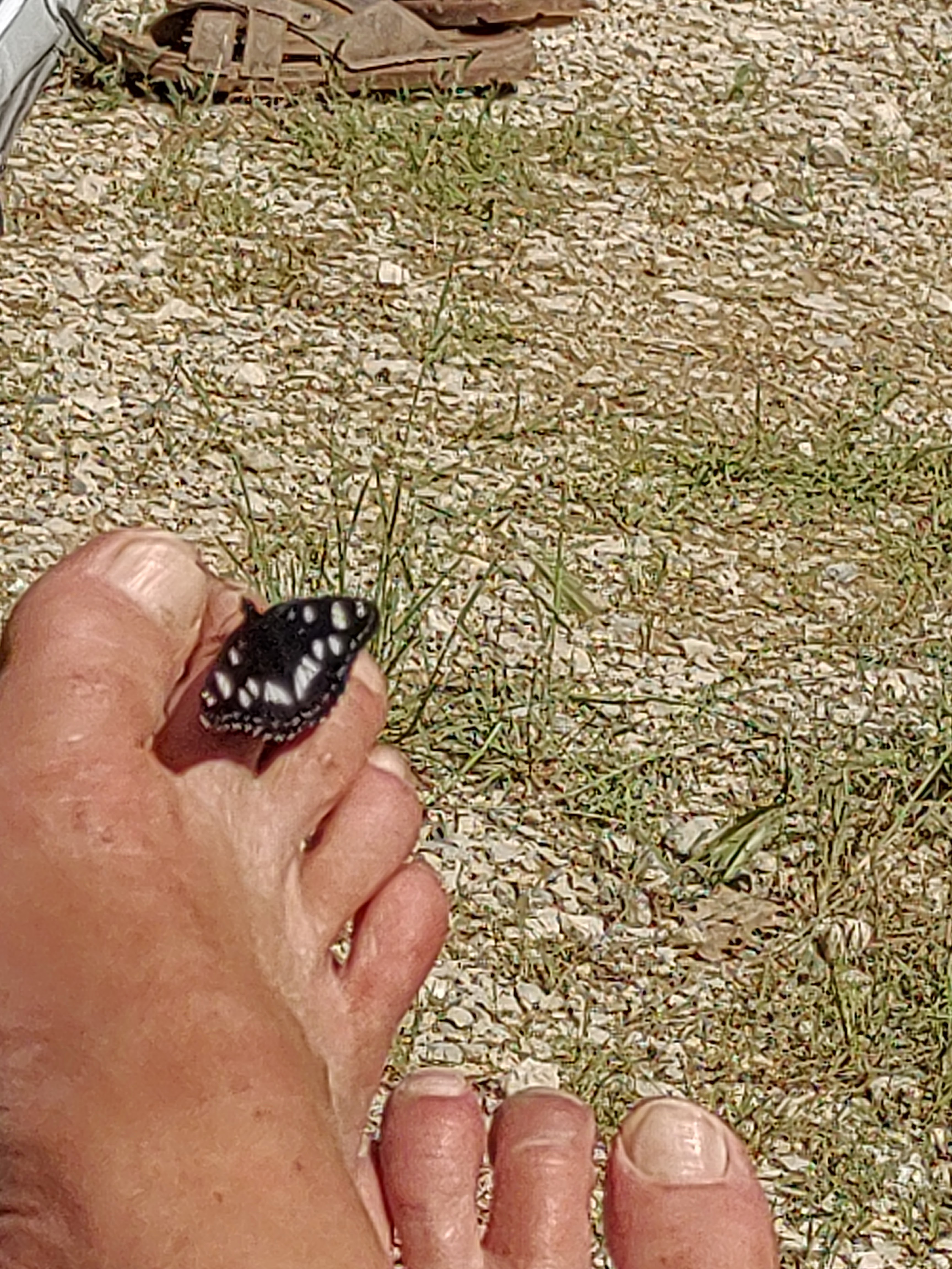 Photo n° 3 de l'avis de H.o fait le 09/06/2023 à 11:21