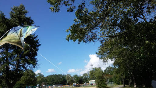 Water Park «Petersen Splash Pad at Watson Park», reviews and photos, Gordon Rd, Braintree, MA 02184, USA