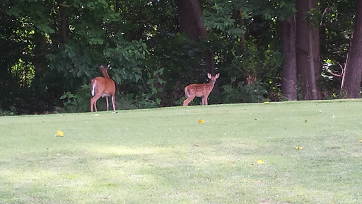 Golf Course «Chenoweth Golf Course & Banquet Facility», reviews and photos, 3087 Chenoweth Rd, Akron, OH 44312, USA