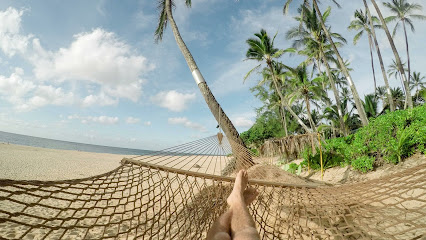 Avance Asesores en Novelda