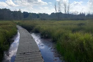 Bishop's Bog Preserve image