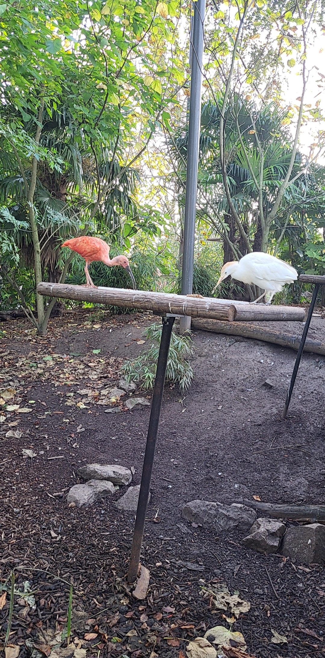 Photo n° 10 de l'avis de Jennifer.a fait le 11/11/2022 à 12:11