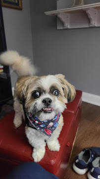 Country Kennel Pet Care - Photo 5 - Car repair in Milan, MI, Ann Arbor