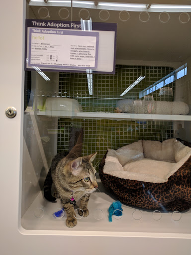 Pet Supply Store «Petco Animal Supplies», reviews and photos, 12444 NW 10th St #301, Yukon, OK 73099, USA