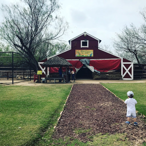 Museo de zoología Reynosa