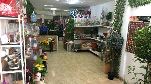 Floristería David 2
