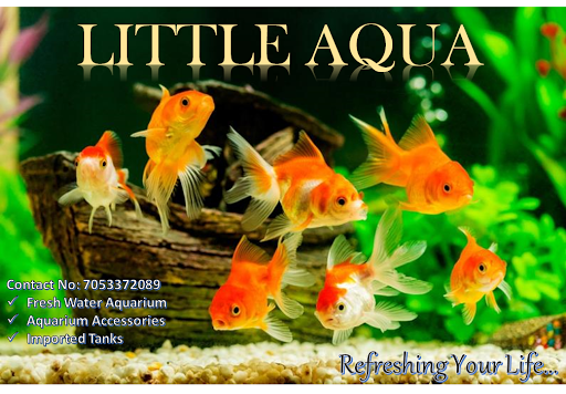 Little Aqua (Aquarium shop)