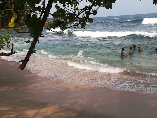 Serene Hotel Beach