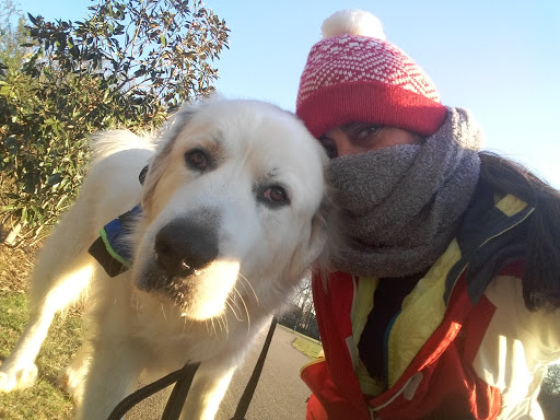 Park «Swift Cantrell Park», reviews and photos, 3140 Old 41 Hwy NW, Kennesaw, GA 30144, USA