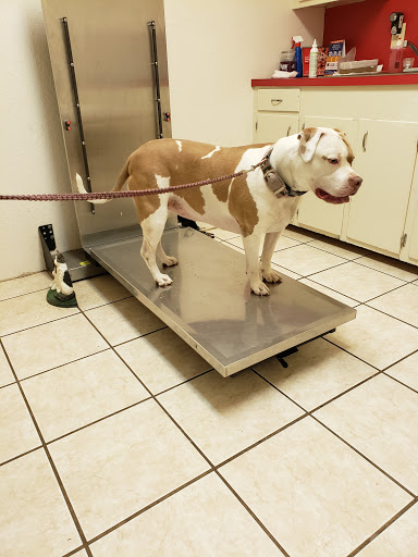 Woodville Veterinary Clinic