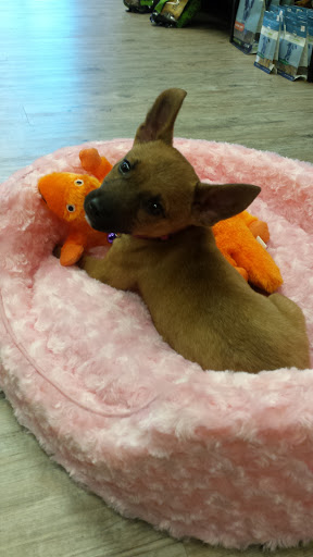 Pet Store «Pet Town», reviews and photos, 51 WA-300, Belfair, WA 98528, USA