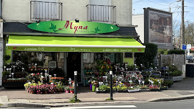 Fleurs Myna à Le Havre
