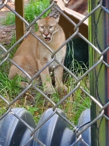 Tourist Attraction «Panther Ridge Conservation Center», reviews and photos, 14755 Palm Beach Point Blvd, Wellington, FL 33414, USA