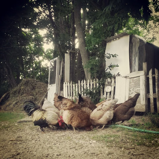 Farm «Greenleaf Farms», reviews and photos, 24 Littleworth Rd, Dover, NH 03820, USA