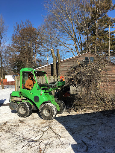 Tree Service «Polgar Tree Service & Removal LLC», reviews and photos