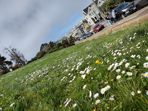 Historical Landmark «Painted Ladies», reviews and photos, Steiner St, San Francisco, CA 94117, USA