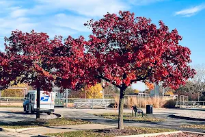 Playground image