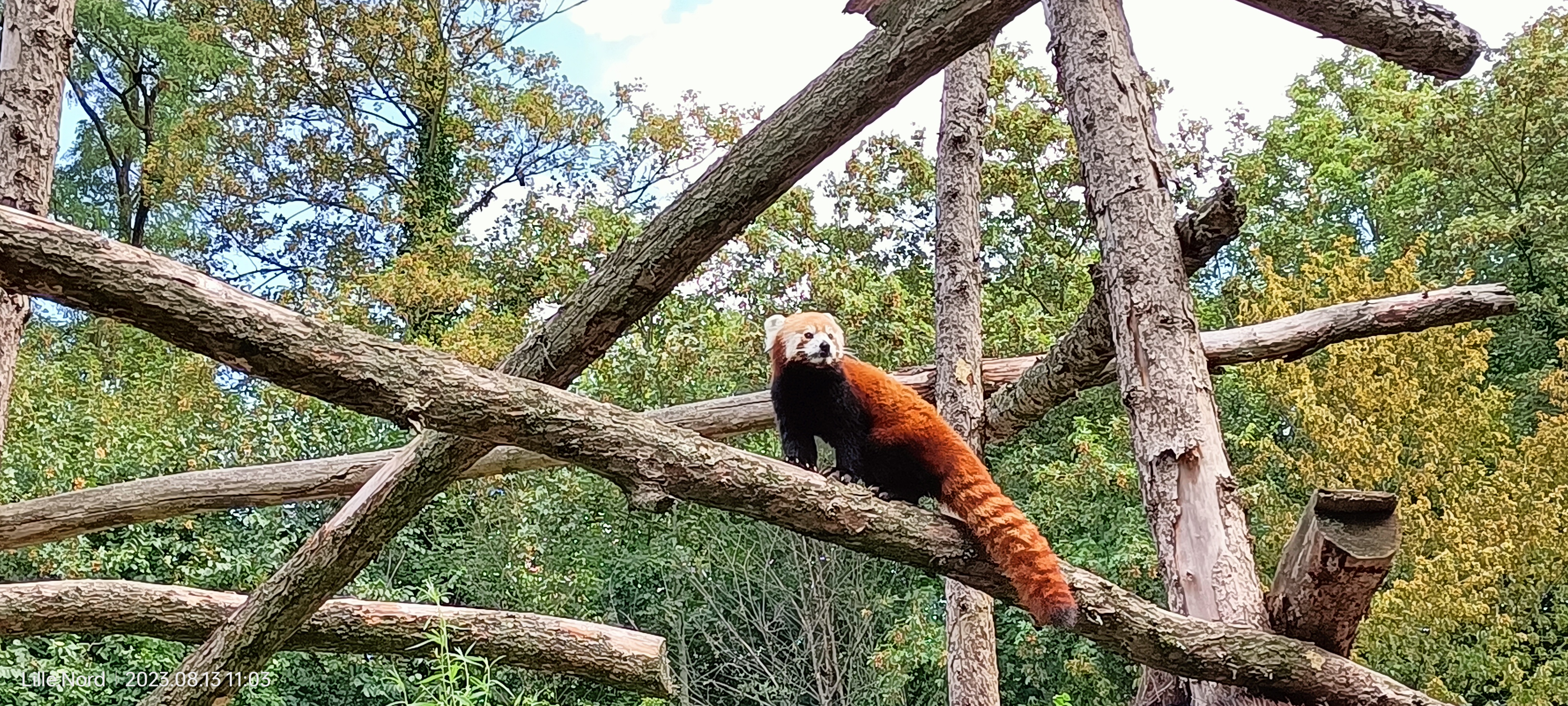 Photo n° 11 de l'avis de Chloe.r fait le 15/08/2023 à 11:04